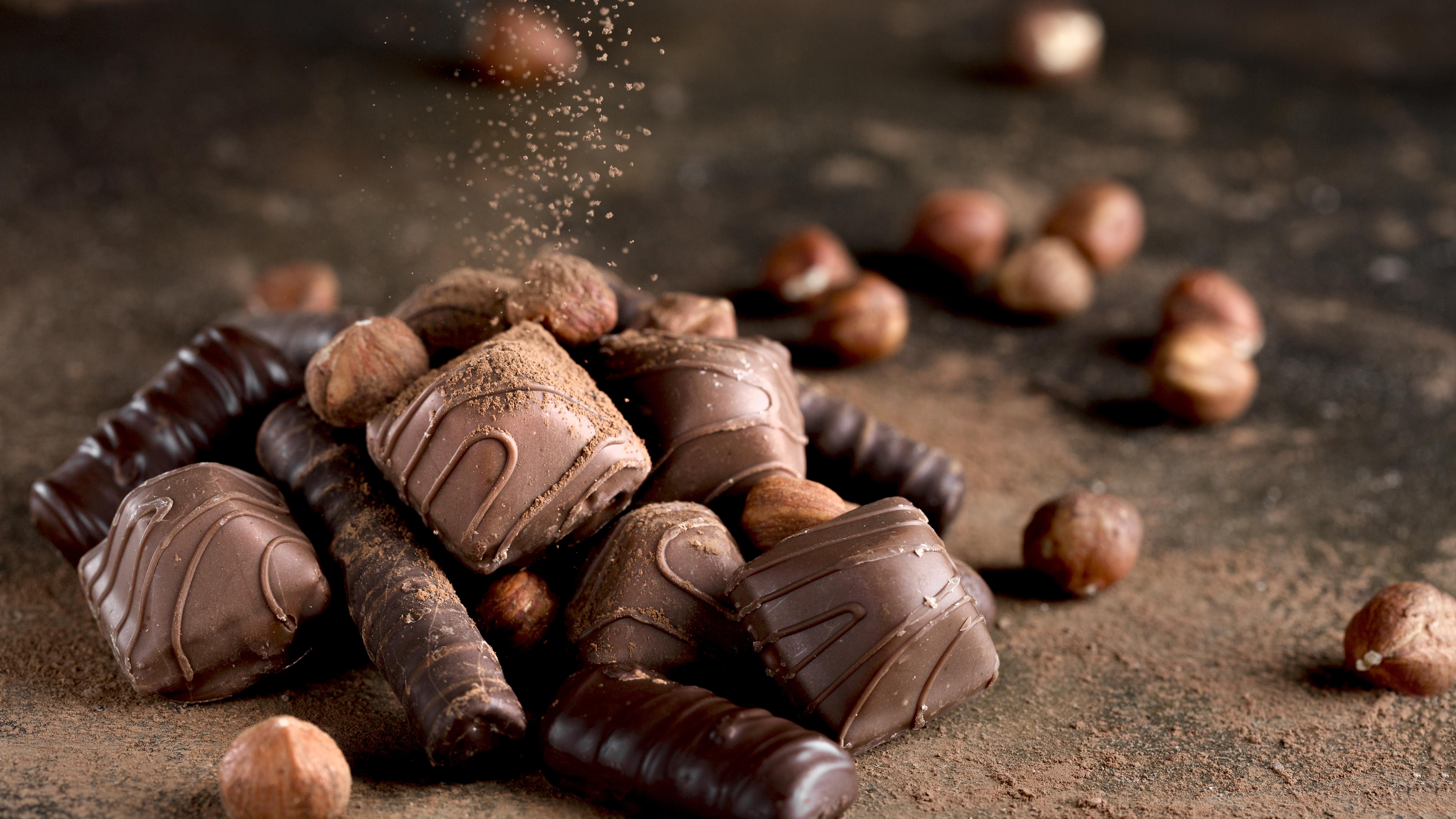 Atelier Chocolat Special Chocolats De Noel Coursnoel Chocolaterie Renard A Manthelan Entre Tours Loches Et Ste Maure